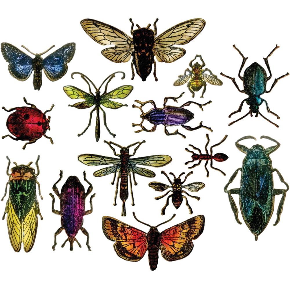 Sizzix Framelits Dies By Tim Holtz 14 Pc Entomology - 663068
