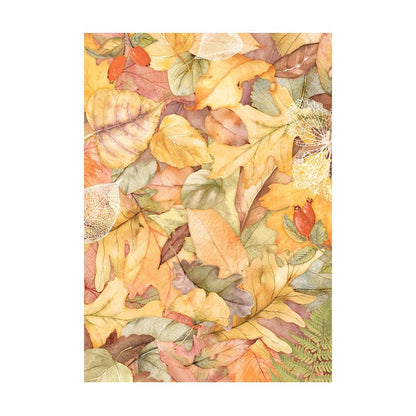 Stamperia Assorted Rice Paper Backgrounds A6 8  Sheets Woodland - FSAK6011