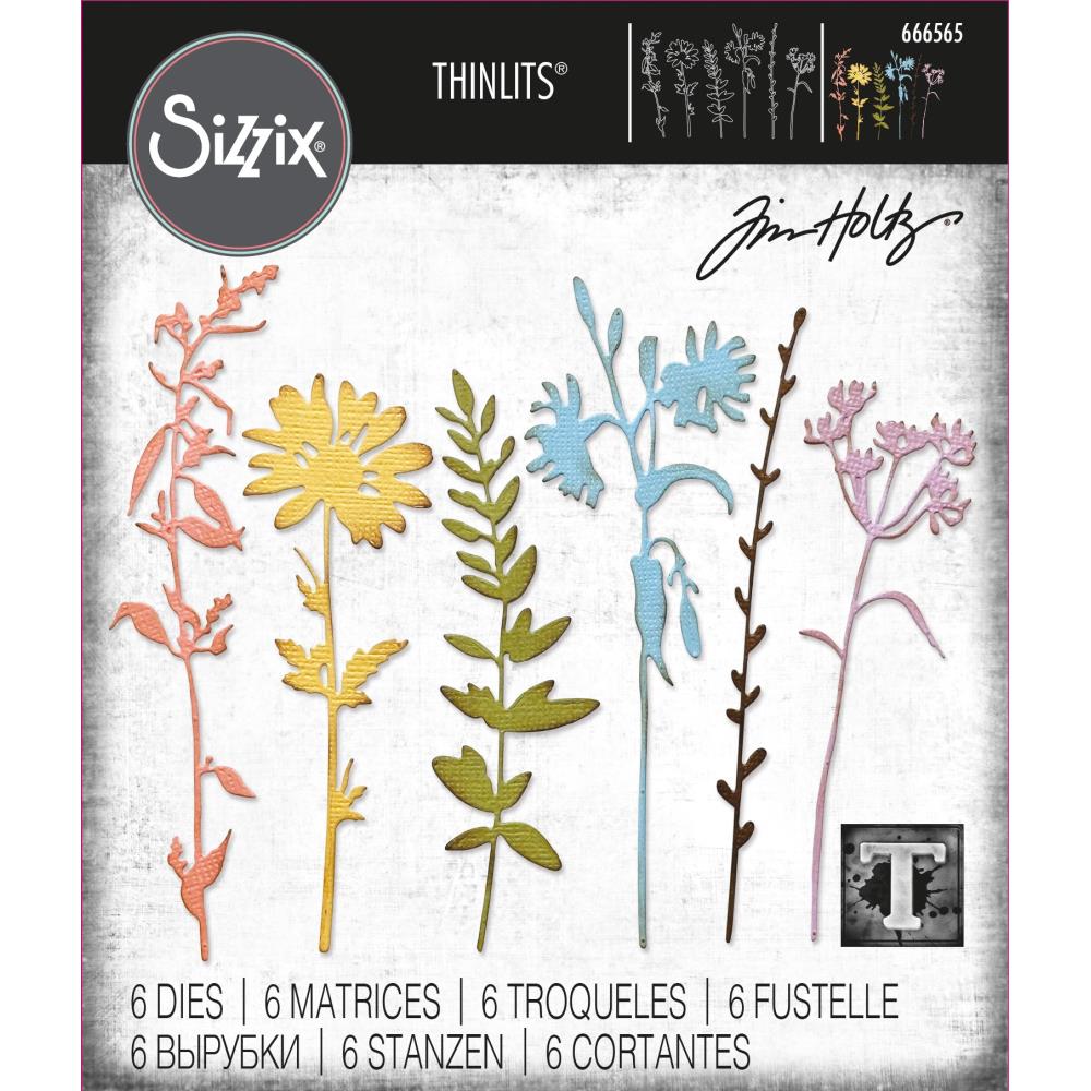 Sizzix Thinlits Dies By Tim Holtz 6/Pkg - 666565