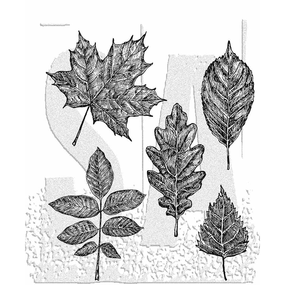 Tim Holtz Stampers Anonymous Stamp Sketchy Leaves - CMS467